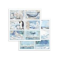 Scrapbooking Stamperia Arctic