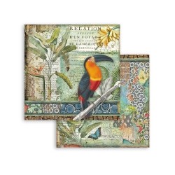 Scrapbooking Stamperia Amazonia