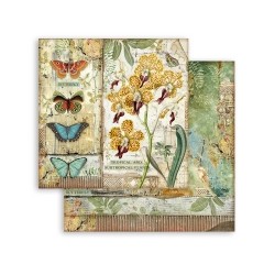 Scrapbooking Stamperia Amazonia