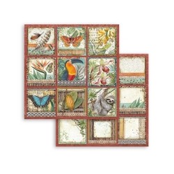Scrapbooking Stamperia Amazonia
